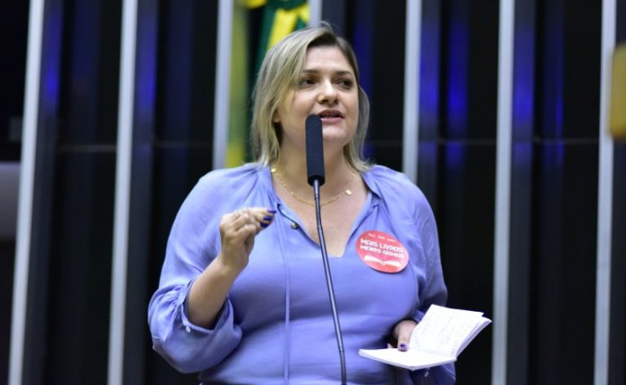 Zeca Ribeiro/Câmara dos Deputados
