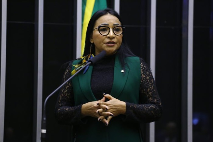 Vinicius Loures/Câmara dos Deputados