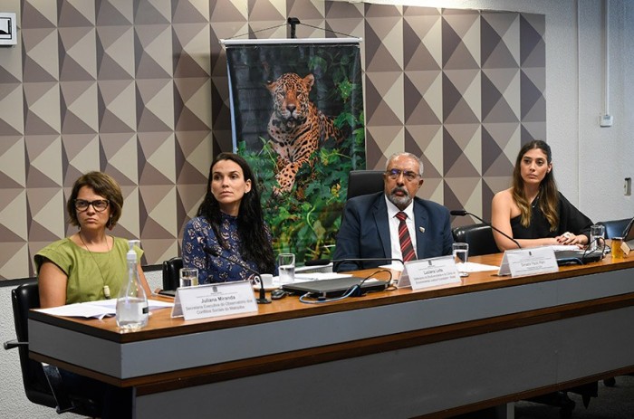 Presidente da CDH, Paulo Paim comandou a reunião - Foto: Jefferson Rudy/Agência Senado