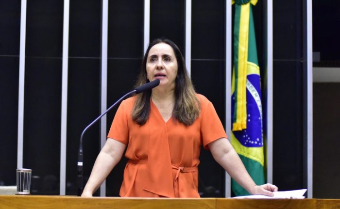 Zeca Ribeiro/Câmara dos Deputados
