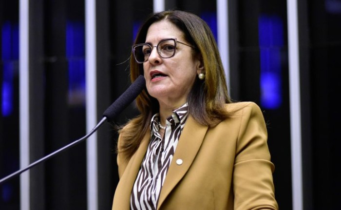 Zeca Ribeiro / Câmara dos Deputados
