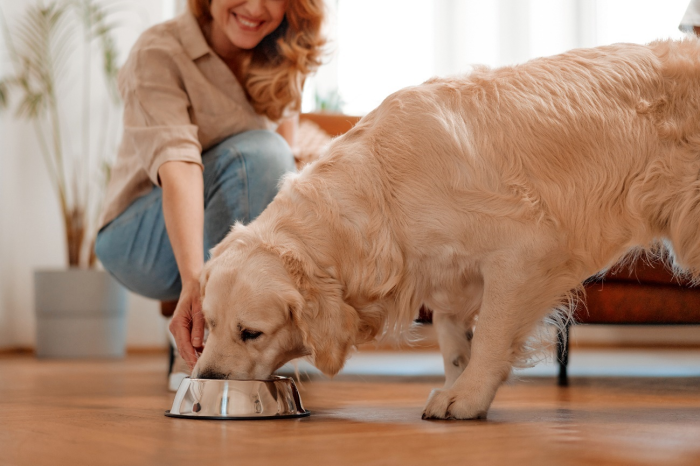 Shutterstock/Divulgação PremieRpet