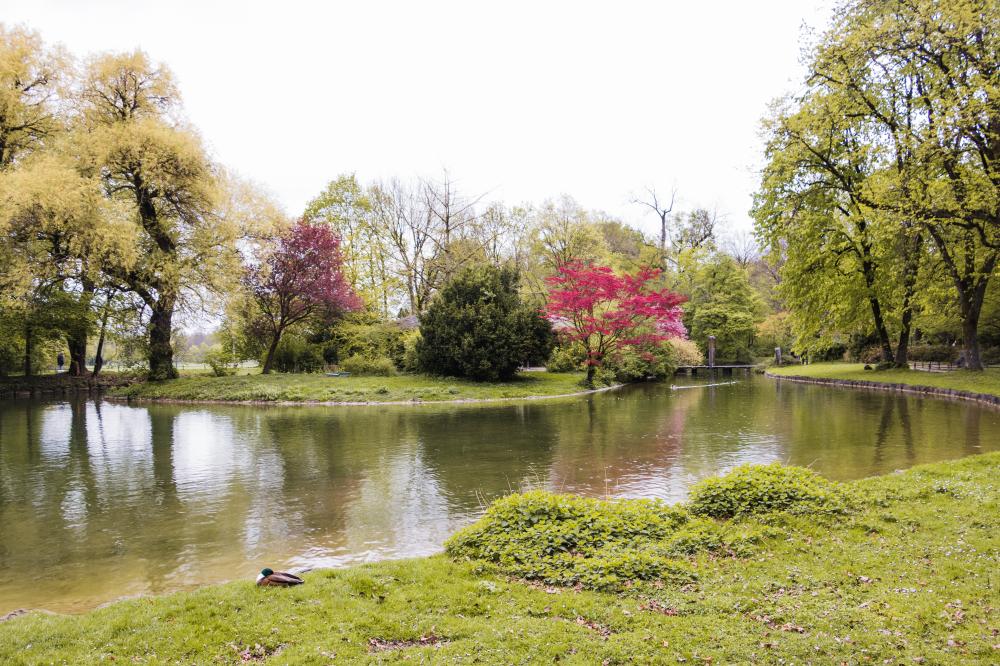Os mais belos jardins e parques nacionais para visitar no Brasil