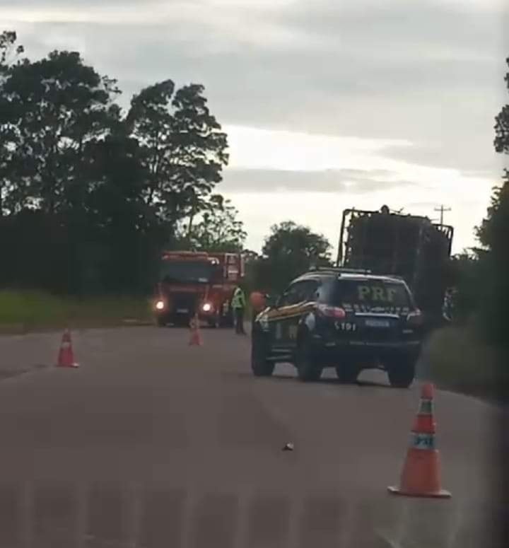 Foto: Divulgação 