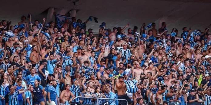 A tela deve custar cerca de R$ 100 mil - Foto: Lucas Uebel / Grêmio FBPA / Divulgação / CP