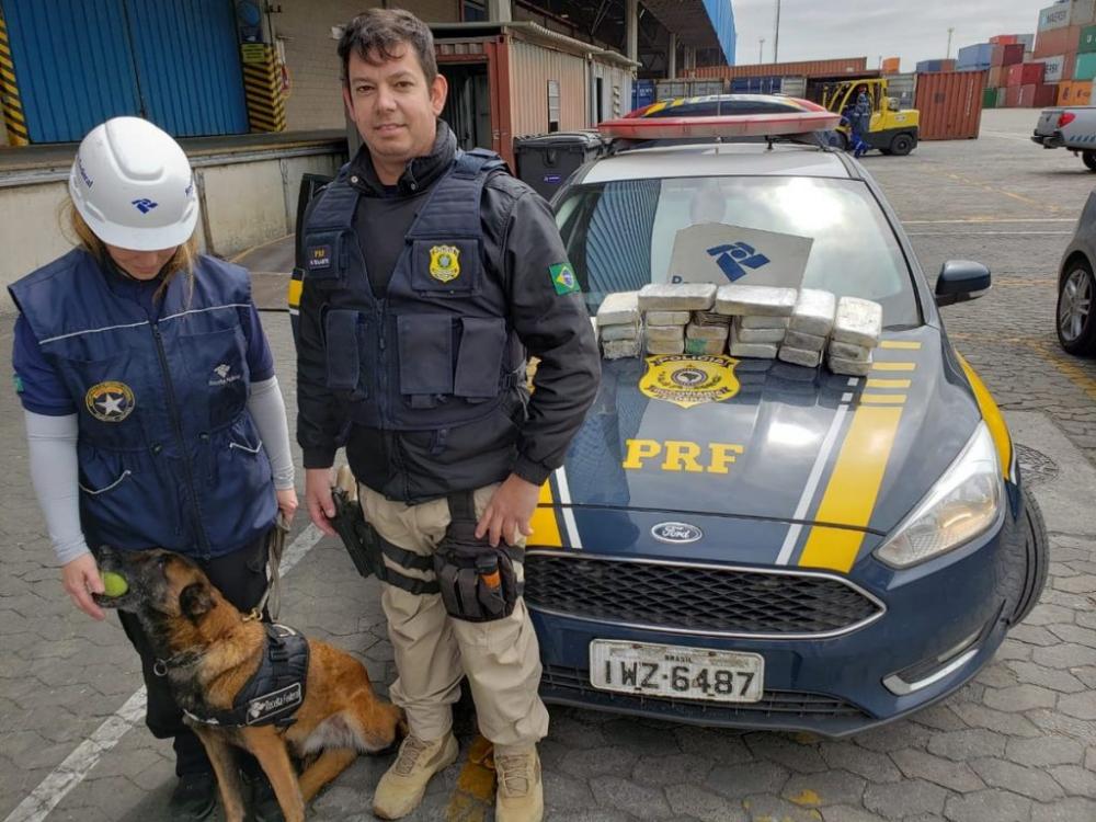A cadela Uva, do K9 da Alfândega da Receita Federal, atuou na operação — Foto: PRF/Divulgação