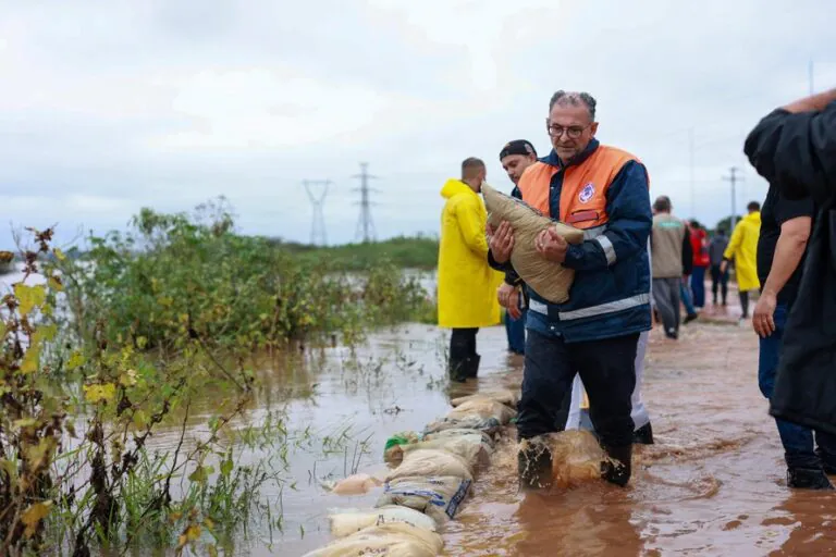 Foto: Alisson Moura / Prefeitura de Canoas