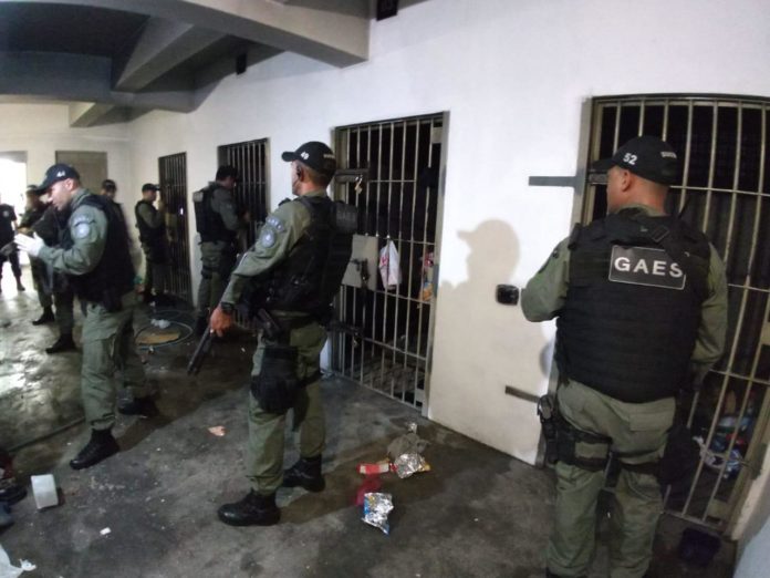 Foto: Susepe/Divulgação