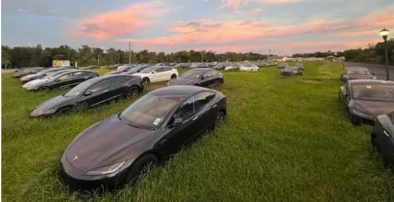 Centenas de carros da Tesla foram avistados em terreno na Flórida – Foto: Reprodução/Reddit/ND