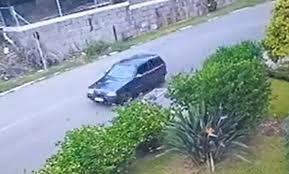 Imagens reprodução Portal Leouve