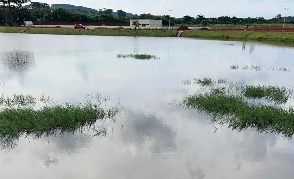 Foto: Divulgação 