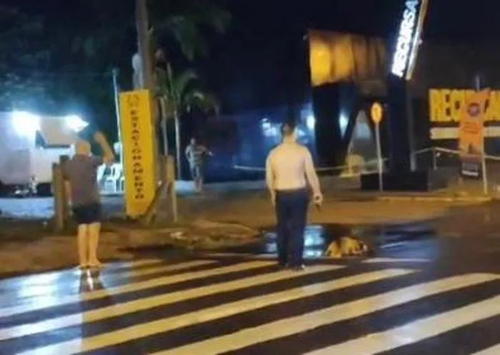 Foto: Reprodução