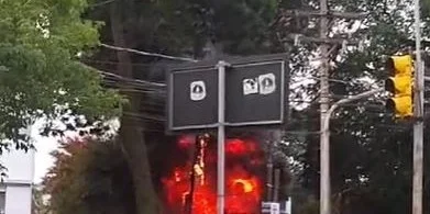 Foto divulgação