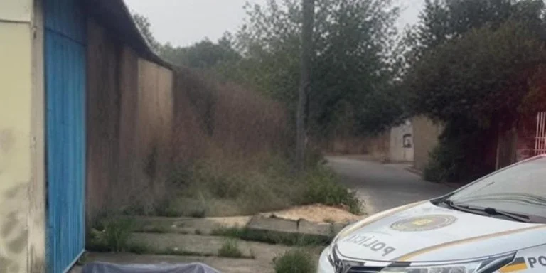 Efetivo do 26º BPM deteve suspeito de assassinato em Cachoeirinha | Foto: BM / CP