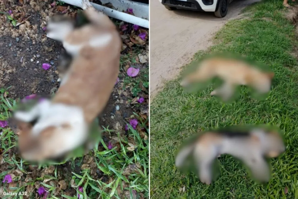 Foto: Arquivo Pessoal