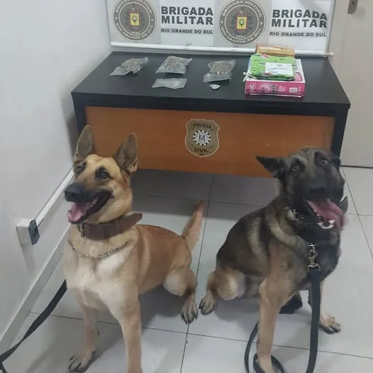Foto reprodução