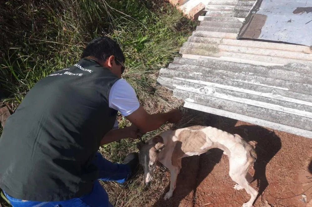 Foto reprodução
