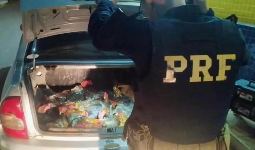 Foto: PRF/Divulgação