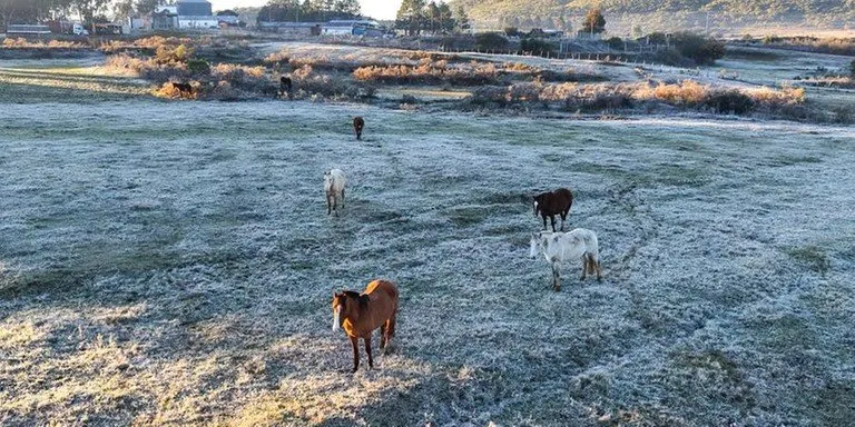 Frio foi mais intenso na madrugada deste sábado em cidades da Metade Sul gaúcha | Foto: DANIEL BADRA / DIVULGAÇÃO / CP