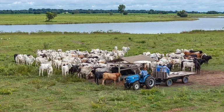 O modelo da LS Tractor chega ao mercado com motor LS Diesel de três cilindros, 25 cv, 12 marchas à frente e 12 à ré | Foto: LS Tractor / Divugação / CP