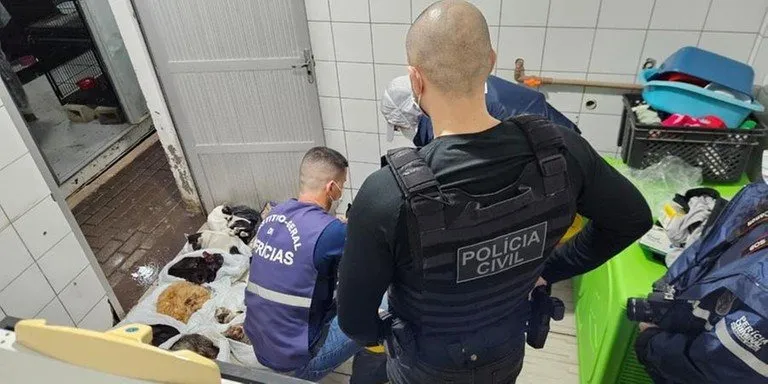 Operação Carrasco teve como alvo ex-titular da Secretaria de Bem-Estar Animal de Canoas | Foto: PC / CP