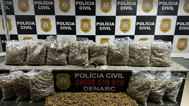 Foto: Divulgação / Polícia Civil