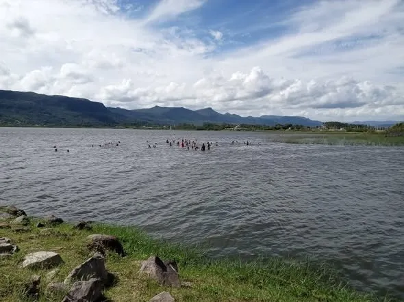 Exposição a água da Lagoa do Peixoto pode levar a intoxicações agudas ou crônicas Foto : Prefeitura de Osório / Divulgação / CP