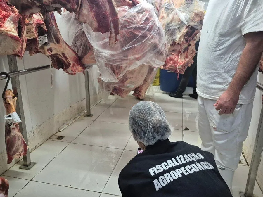Entre os itens localizados estão carnes de gado, embutidos e alimentos congelados Foto : Divulgação/ Ascom Seapi / CP