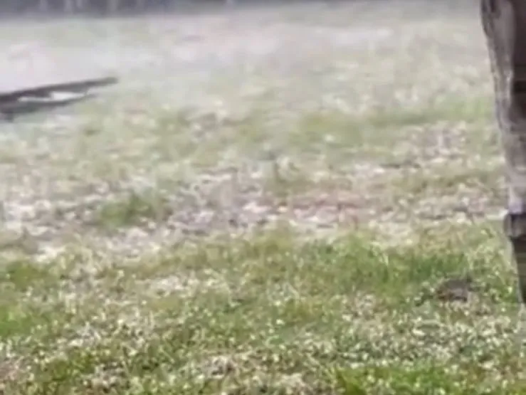 Granizo deixou rastros de destruição em bairros como Várzea Grande e Casagrande Foto : Reprodução / CP