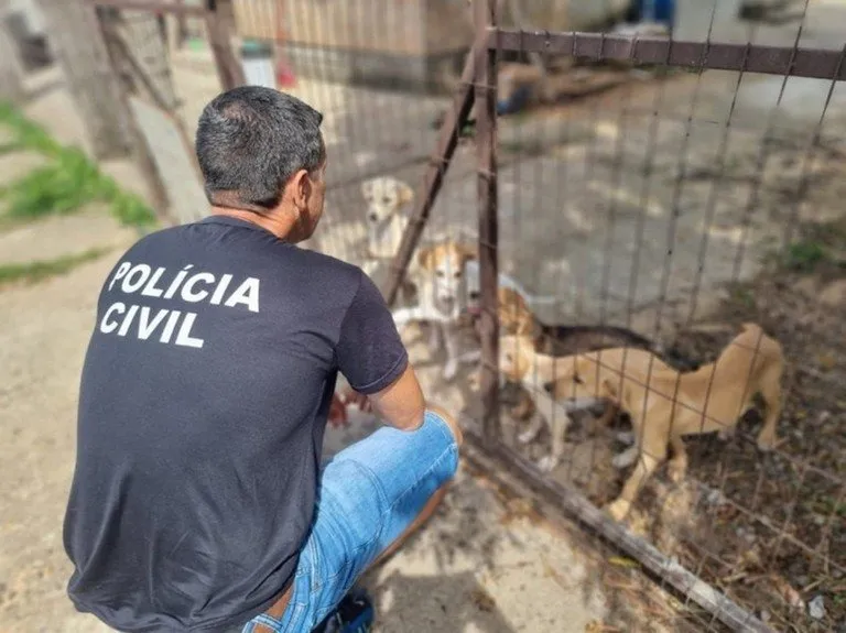 Policiais atuam em ocorrências de possíveis maus-tratos a animais na Capital e interior do Estado Foto : Divulgação / Polícia Civil / CP