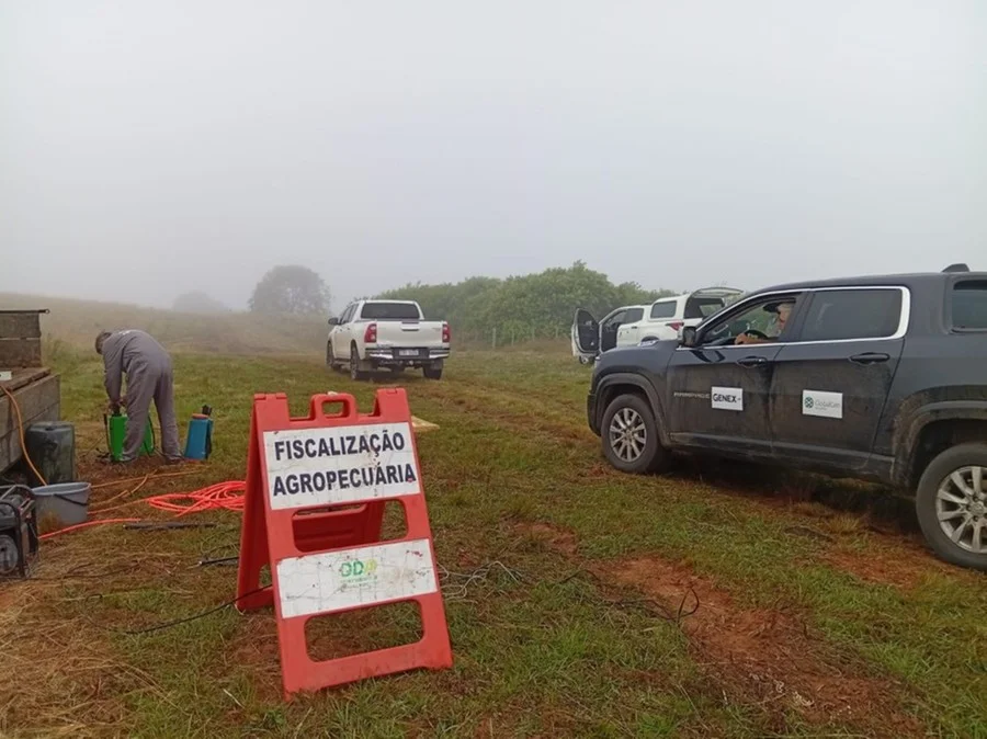 As medidas sanitárias são essenciais para proteger os rebanhos gaúchos Foto : Seapi / Divulgação / CP