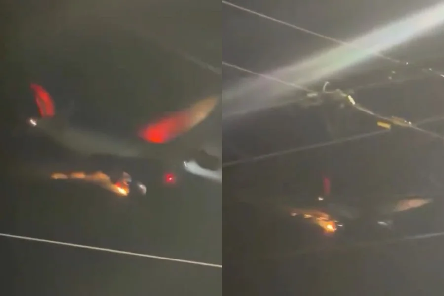 Imagens obtidas pelo Metrópoles