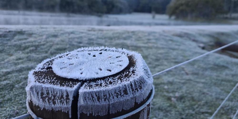 Frio provoca geada e temperatura negativa em Canela | Foto: Halder Ramos / CP