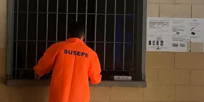Foto: Susepe / CP