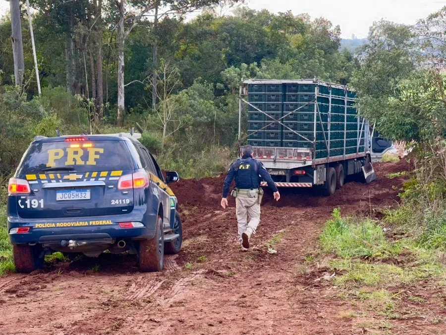 O veículo foi interceptado no entroncamento da BR 285 com a ERS 324 Foto : Divulgação / Polícia Rodoviária Federal / CP