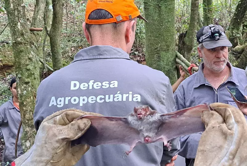 Foto: Divulgação