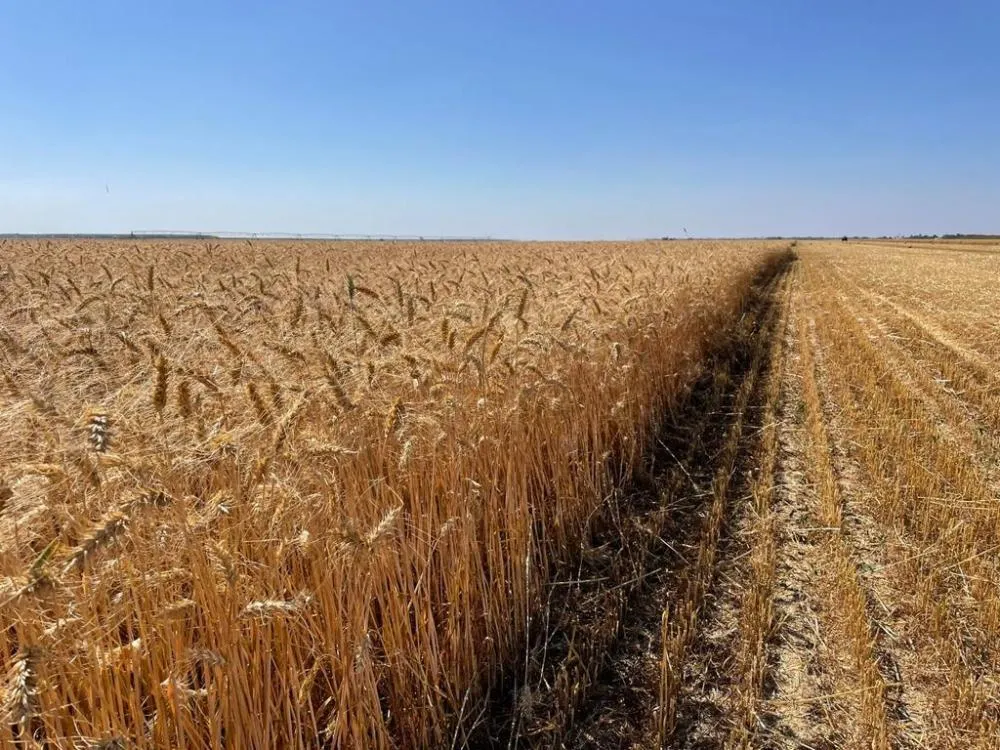 ( Divulgação FecoAgro/RS)