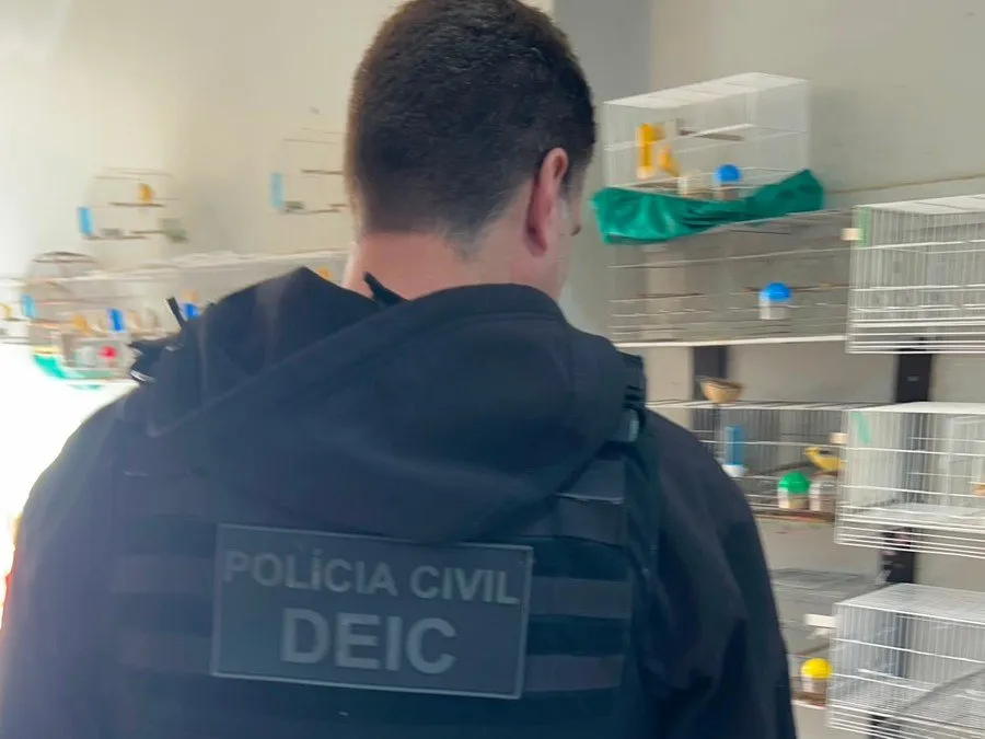 Investigações prosseguem para apurar a origem dos animais e a eventual prática de crime ambiental Foto : Divulgação / Polícia Civil / CP