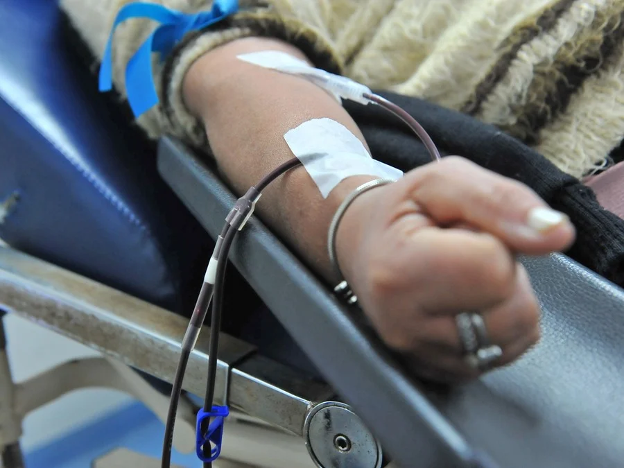 Redução da fila de espera por cirurgias aumenta demanda por doadores de sangue Foto : Alina Souza
