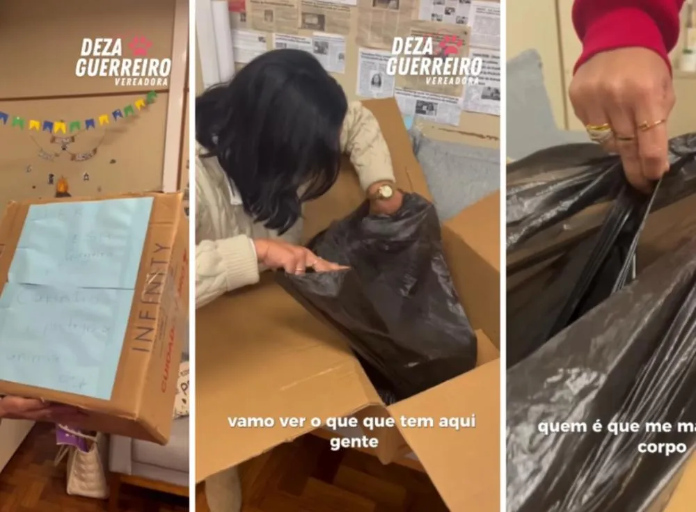 Vereadora registrou nas redes sociais o momento em que abre a caixa com o cachorro morto Foto : @vereadoradezaguerreiro / Instagram / Reprodução / CP
