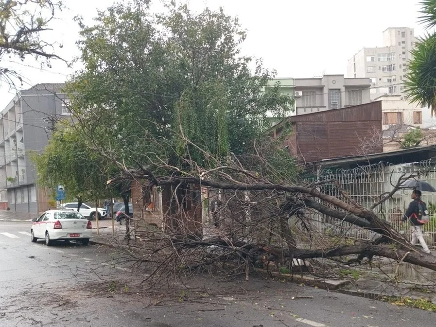 Árvore caiu na rua Jerônimo de Ornelas na manhã desta segunda-feira Foto : Divulgação / SMSUrb / CP