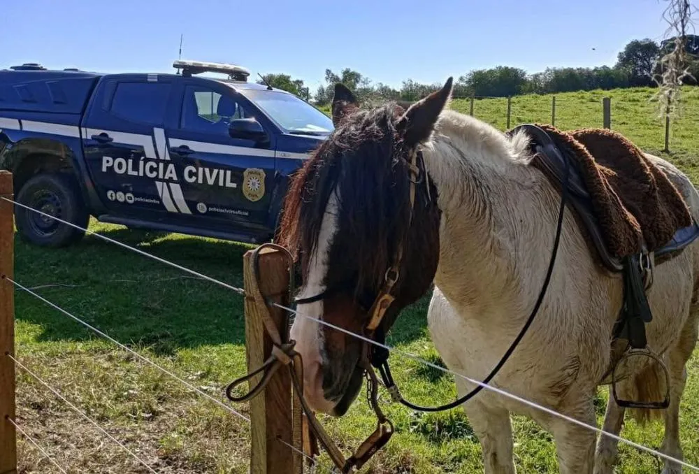 Foto: Divulgação / Giovani Grizotti - Repórter Farroupilha﻿
