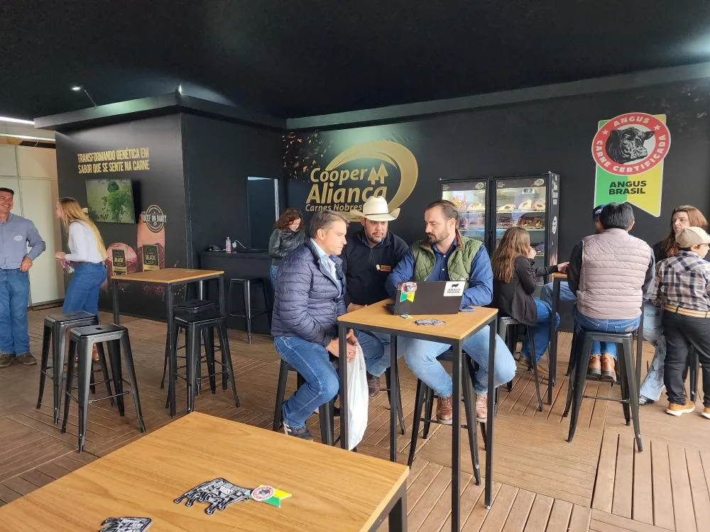 Angus on Dairy busca aumentar renda de produtores de leite e impulsionar carne certificada