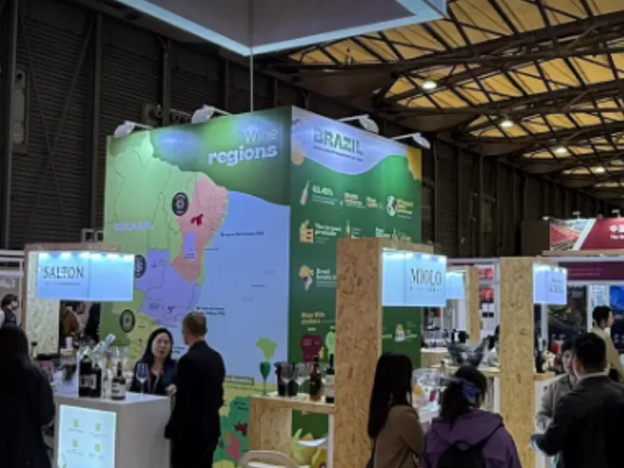 Com embarques para 79 países, setor vitivinícola amplia presença no exterior Foto : Wines Of Brazil / Divulgação / CP