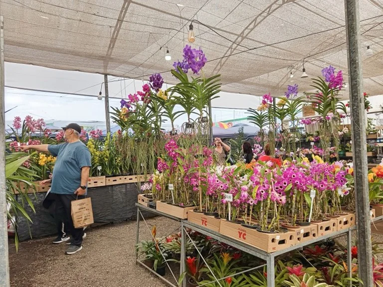 Local reunirá produtores de orquídeas, petúnias, rosas e outras espécies Foto : Juliana Dias / Ascom Expointer / Divulgação / CP