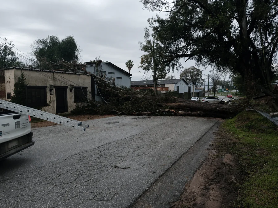 A avenida José do Patrocínio, no bairro São Judas, foi um dos locais atingidos por queda de árvore Foto : Defesa Civil de Bagé / Divulgação / CP