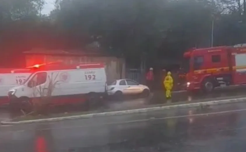 Árvore caiu sobre casa na zona Norte de Porto Alegre. Foto : Record / Divulgação / CP