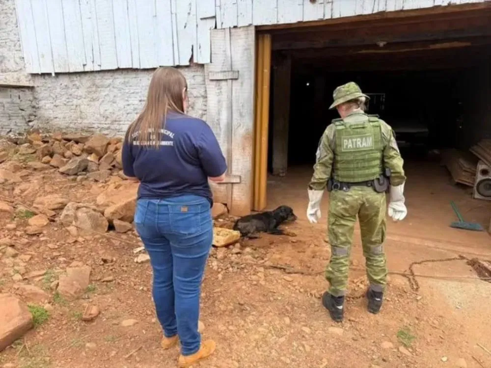 Cadela em grave estado é resgatada após denúncia de maus-tratos em Erval Seco