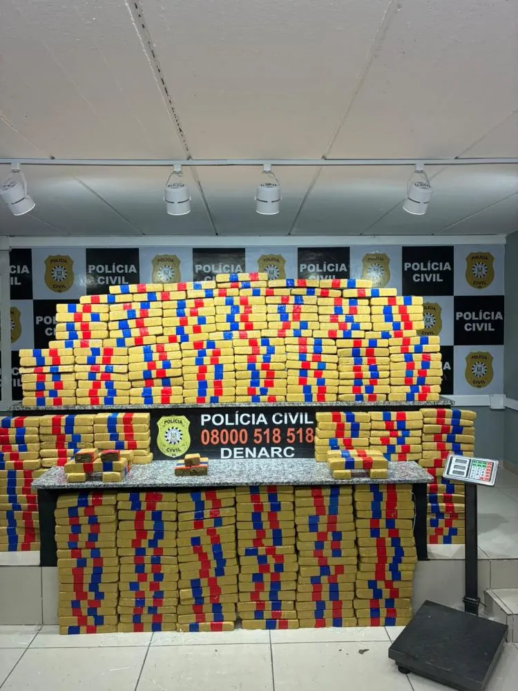 Equipe da 1ª DIN apreende 217 quilos de maconha em Canoas – Foto: PCRS