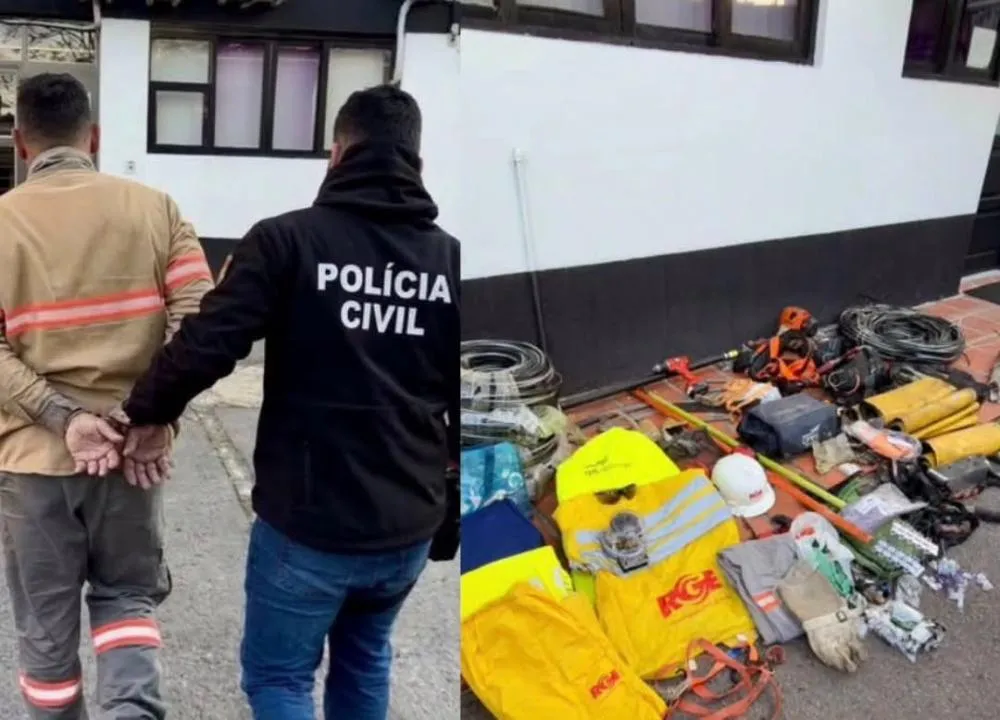 Foto: Divulgação / Polícia Civil